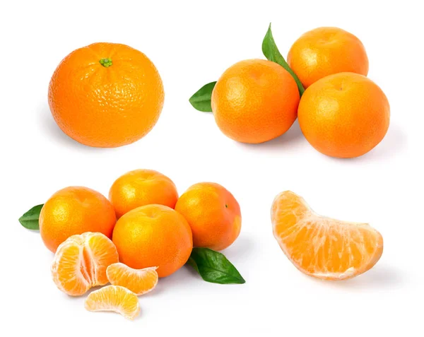 在白色背景下分离的柑橘类柑橘类瓜果 — 图库照片
