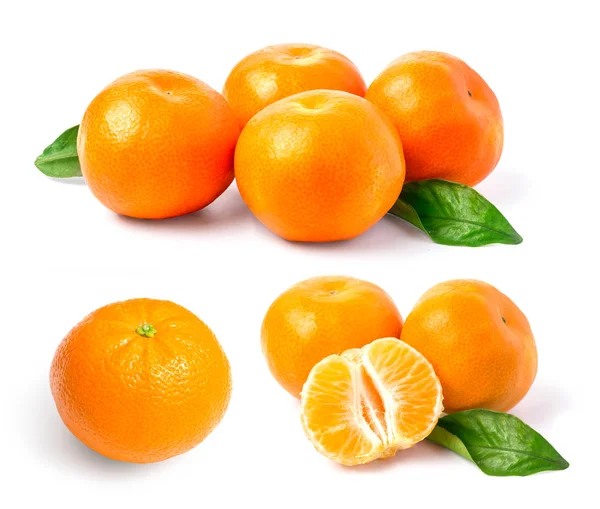 在白色背景下分离的柑橘类柑橘类瓜果 — 图库照片