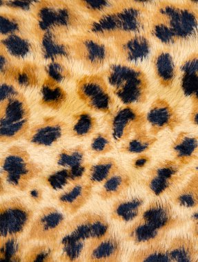 Moda leopar Seamless modeli. Stilize benekli leopar deri arka plan