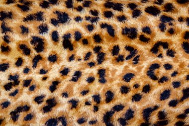 Moda leopar Seamless modeli. Stilize benekli leopar deri arka plan