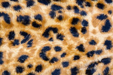 Moda leopar Seamless modeli. Stilize benekli leopar deri arka plan