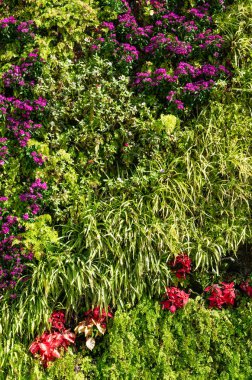 Yeşil yaprak ve çiçek duvar doku arka plan