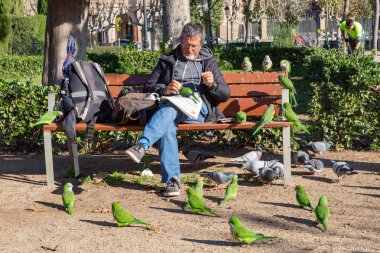 Barselona, İspanya, 14 Aralık 2018: Adam yayınları papağan ve güvercinler City Park, Barselona