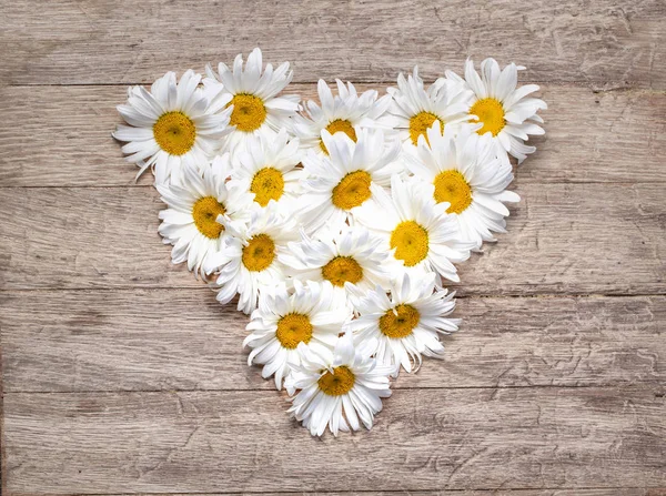 Λουλούδια Μαργαρίτα Σχήμα Καρδιάς Φόντο Ξύλινη — Φωτογραφία Αρχείου