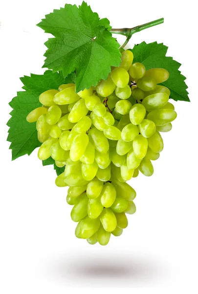 Green grape isolated — Stock Photo, Image