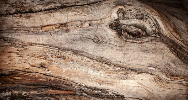 Texturizado fundo de madeira — Fotografia de Stock