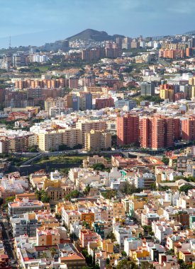 santa cruz de tenerife Cityscape 