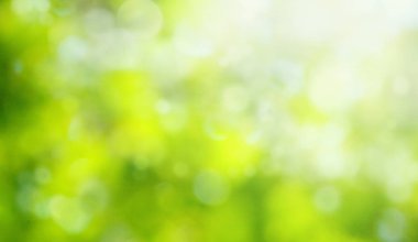 arka plan bahar ya da yaz 