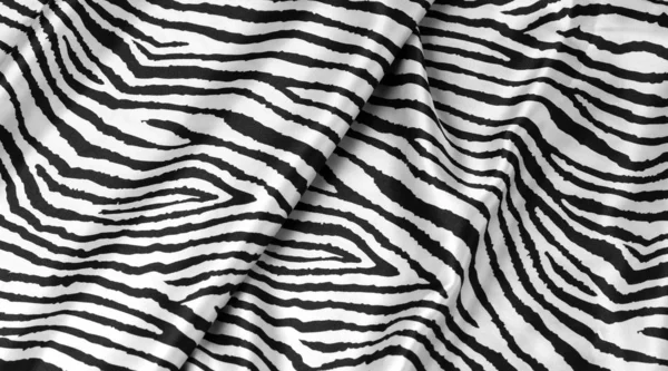 Pelle di zebra animale — Foto Stock