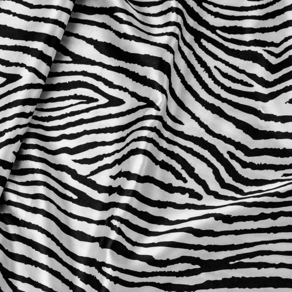 Pelle di zebra animale — Foto Stock