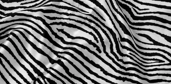 Hayvan zebra derisi — Stok fotoğraf