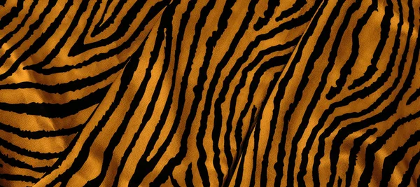 Pele de tigre animal — Fotografia de Stock