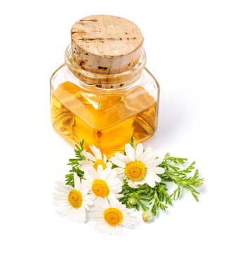 Cam şişe içinde Camomile yağı