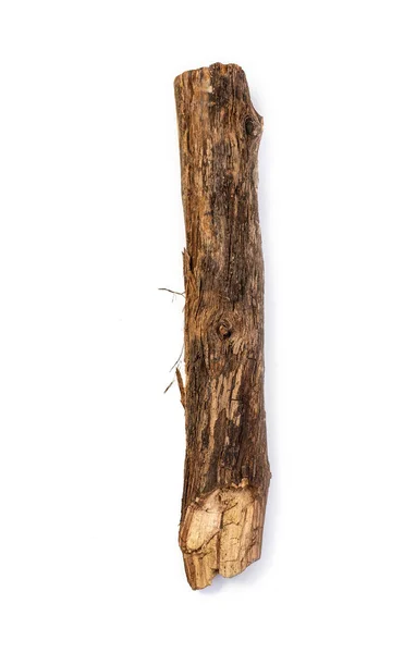 İzole ağaç sopa — Stok fotoğraf
