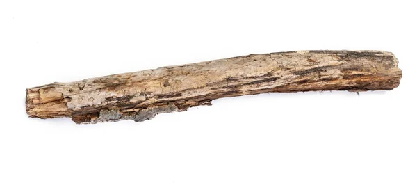 Tree stick isolated — Stock Photo, Image