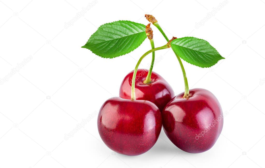Cherry isolated on white 