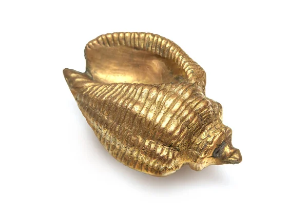 Metalden Yapılmış Güzel Bir Deniz Kabuğu Eski Bir Altın Tonda — Stok fotoğraf