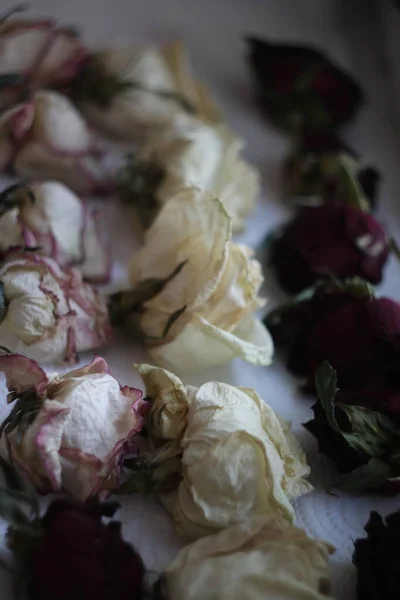 Сушеные розы трех цветов на столе — стоковое фото