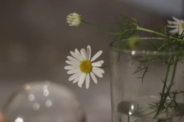 Ένα βάζο με λουλούδια σε ένα τραπέζι — Φωτογραφία Αρχείου