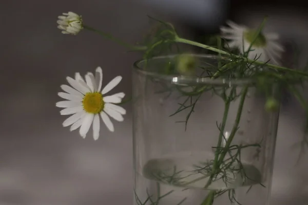 Un jarrón de flores sobre una mesa — Foto de Stock