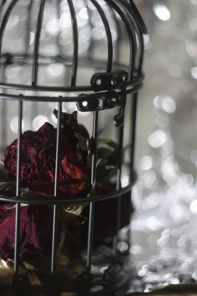 Um close-up de uma gaiola witn flores — Fotografia de Stock