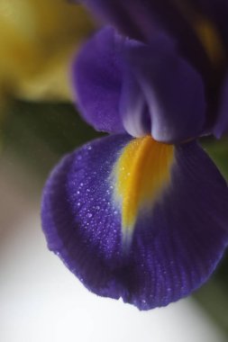 Bir oyuncağın yakın çekimi.