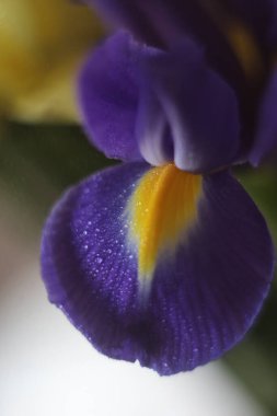 Bir oyuncağın yakın çekimi.