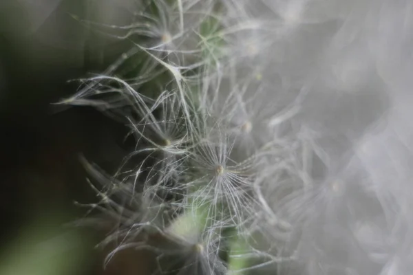 Een close-up van een persoon — Stockfoto