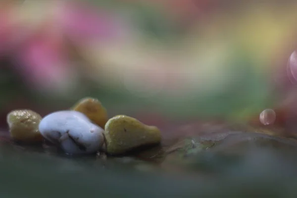 Close-up shot of stones on blurred bright background — Stock Photo, Image