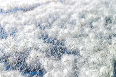 Beyaz ipek Koza İpek solucan ile