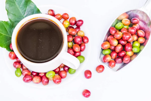 A cup of coffee and red ripe coffee beans isolated on white background.