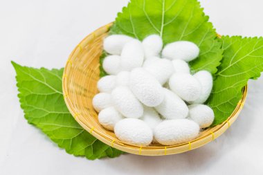 Sepette beyaz zemin üzerine ipek Koza