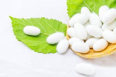 Sepette beyaz zemin üzerine ipek Koza