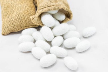 Beyaz zemin üzerine çuval içinde ipek Koza