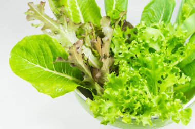 beyaz zemin üzerinde sebze salata kasesi