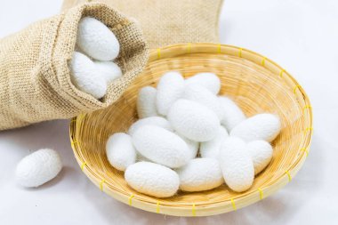 Sepette beyaz zemin üzerine ipek Koza