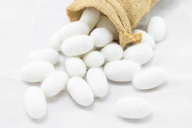 Beyaz zemin üzerine çuval içinde ipek Koza