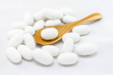 beyaz zemin üzerine tahta kaşıkla Beyaz ipek Koza