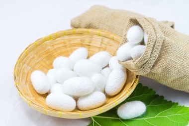 Sepette beyaz zemin üzerine ipek Koza