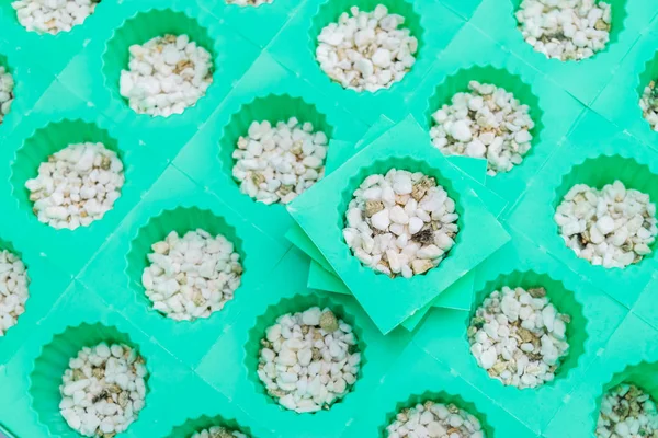 Perlite Vermiculite Com Xícara Plantio Conjunto Para Hidroponia Vegetal — Fotografia de Stock