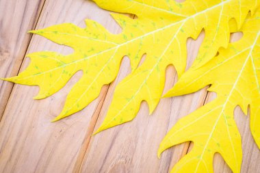 Ahşap masa Papaya sarı yapraklarda.