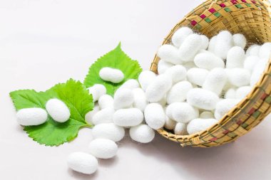 Sepette beyaz zemin üzerine ipek Koza