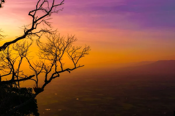 Silhouette Des Alten Baumes Mit Rotem Himmel Und Sonnenuntergang Abend — Stockfoto