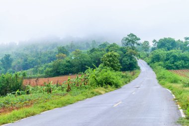 Sis ve sis dağlarda yolda