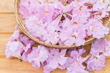 Pembe trompet çiçekler veya pembe pembe trompet tecoma çiçek ahşap sepeti