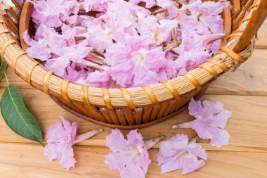 Pembe trompet çiçekler veya pembe pembe trompet tecoma çiçek ahşap sepeti