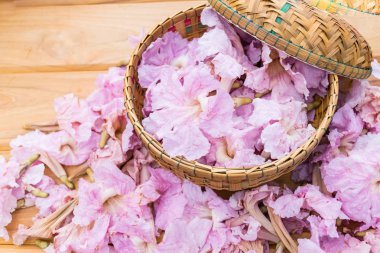 Pembe trompet çiçekler veya pembe pembe trompet tecoma çiçek ahşap sepeti