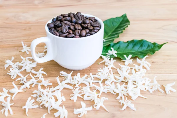 Coffee beans, Coffee flowers and a cup of coffee on the wood.