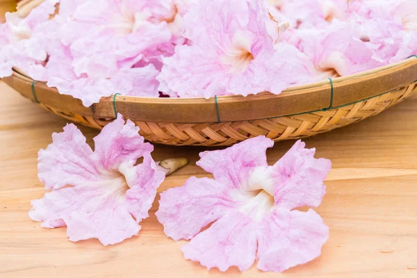 Pembe trompet çiçekler veya pembe pembe trompet tecoma çiçek ahşap sepeti