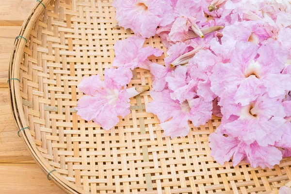 Pembe trompet çiçekler veya pembe pembe trompet tecoma çiçek ahşap sepeti